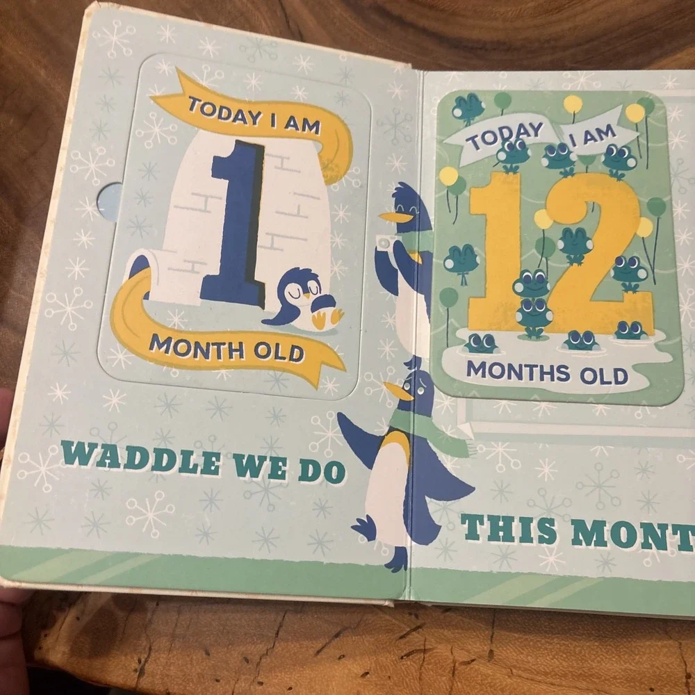 Baby's First Year Photo Gallery : Album with 12 Monthly Photo Car